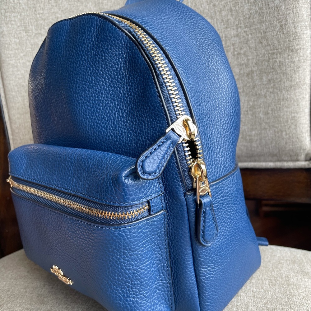 ‼️last one‼️NWT！COACH MINI CHARLIE BACKPACK IN PEBBLE LEATHER (COACH F38263) - Picture 3 of 10